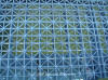 Photo #1